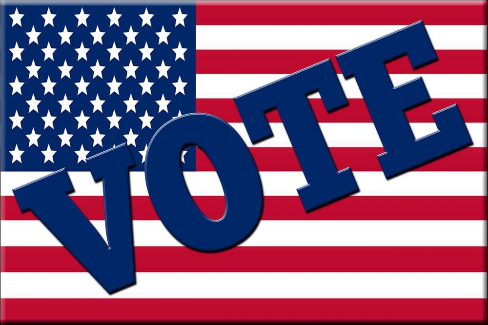 Understanding Delta Votes and Their Influence on Election Results