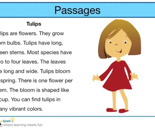 Exploring the Role of Images in Enhancing Textual Content and Reader Engagement