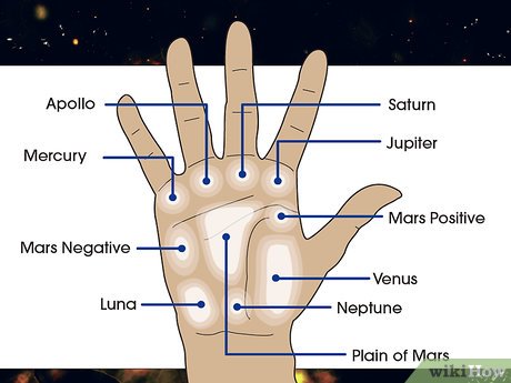 What the mounts on your palm left hand reveal about your personality and future