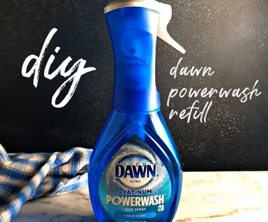 Make Your Own Dawn Powerwash Spray at Home With This Simple Recipe