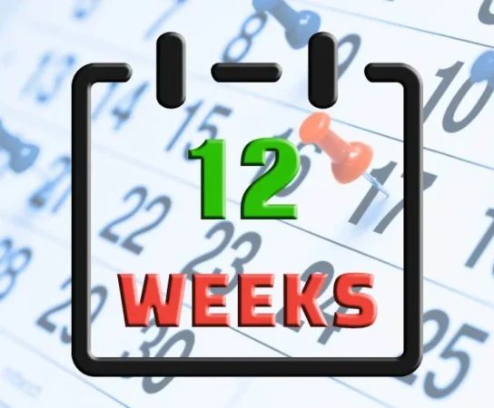 Discover What Date Falls Exactly 12 Weeks from Today and Its Significance