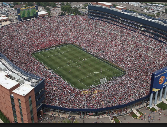 Unveiling the Parallels Between a Soccer Field and a Chloroplast