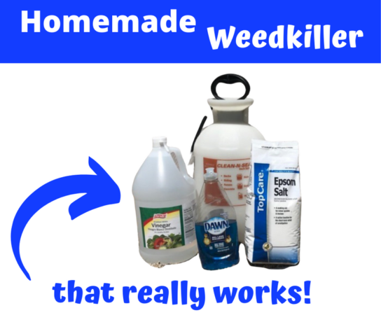 Discover Natural Homemade Weed Killer Recipes for Your Garden