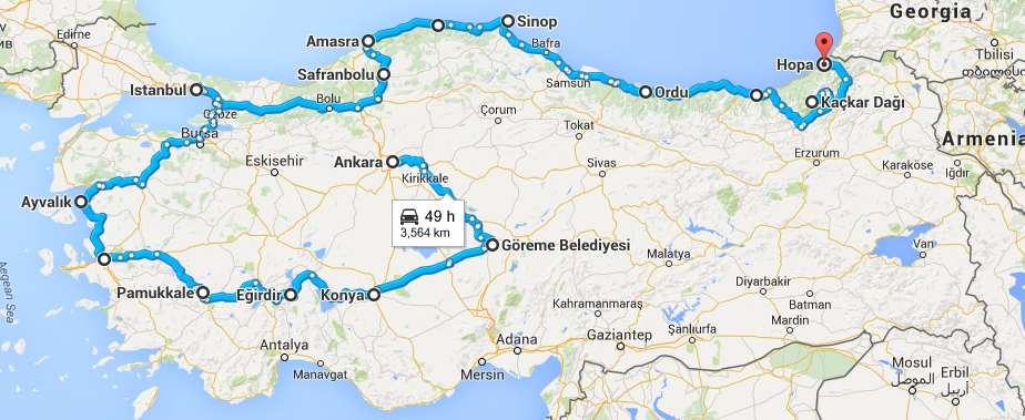 Exploring the Distance Turkeys Travel to Reach Georgia During Migration