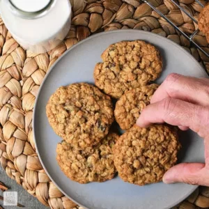 Quaker Oatmeal Cookie Recipe: A Deliciously Chewy Treat for All Ages
